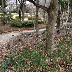 全員集合の画像