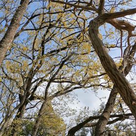 気持ちのいい場所の画像