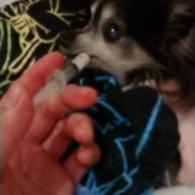 最後の日の朝の画像