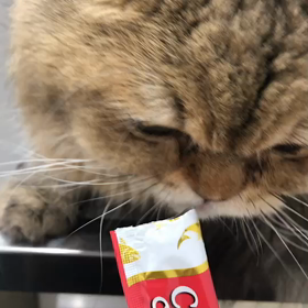 病院へ行ったよの画像