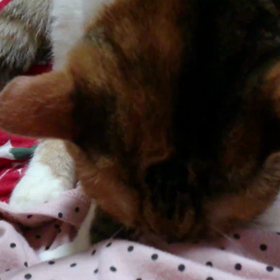 あの～～の画像