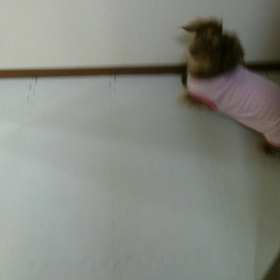 ご飯だぁーの舞☆の画像