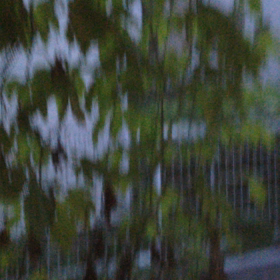 残暑が厳しいねの画像