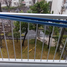 雪が降ってきたの画像