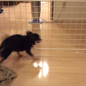 モッチ　高速壁タッチの巻の画像