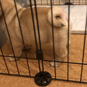 まさか一発で！！の画像