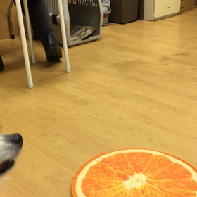 だって楽しいも〜ん。の画像