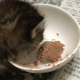 おっ！頑張ってる☺️の画像