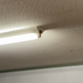 珍客騒動の画像