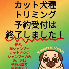 ７月トリミング予約についての画像