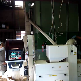 籾摺り開始ー！の画像