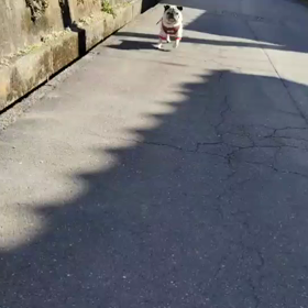 お主も悪よのう…(・ェ・｀U)★の画像