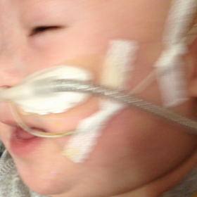 今日のつばちゃん②の画像