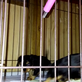 お水も飲めるもん！の画像