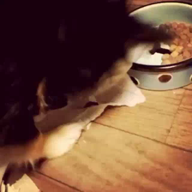 （笑）の画像