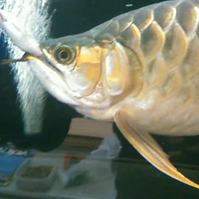 昨日はちょとハードでしたの画像