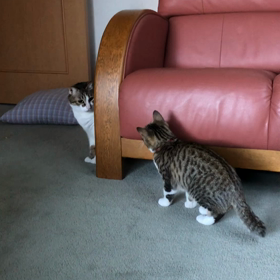 娘と孫守り。デールとマリーの戦い！の画像