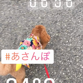 曇り空の朝です（2m23d）の画像