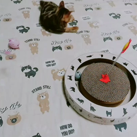 こんな感じの画像