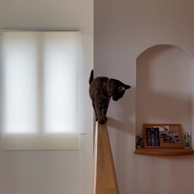 鍋の気温の画像