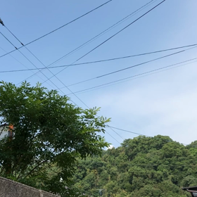 蝉の合唱(＞＜)の画像