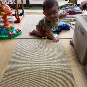 ハイハイの画像