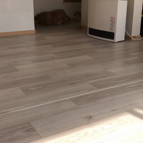 やっぱり天然？の画像