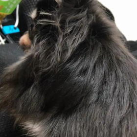 ペース良さげの画像