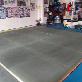 ゴンズジムななの画像