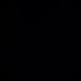 ベアーズ杯の画像