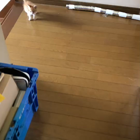 2018年6月9日の画像