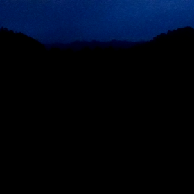 新たなイノシシ対策の動画・どこも弱肉強食の画像