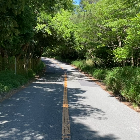 モンシロチョウがい〜っぱいの画像