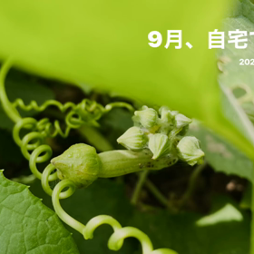 九月　　庭の植物さんや家族と共に楽しかった、よ❣️の画像