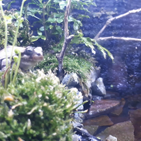 いよいよ台風ですが……の画像