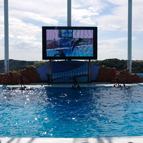 又々アドベンチャーの画像