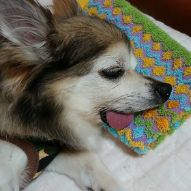 抗生物質の画像