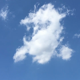 のように見える？の画像