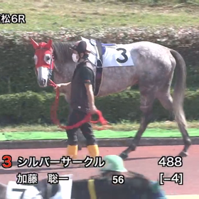 シルバーサークルの画像