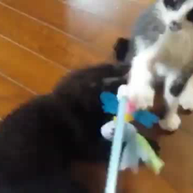 雨の月曜日の画像