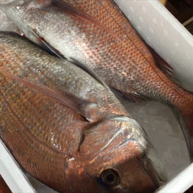 シェフ佐藤の鯛めしの画像