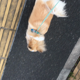 前半飛ばしすぎて後半もたないタイプの画像