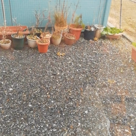 こみ合う病院の待合室で思うこと。の画像