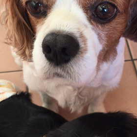 保育園のひとときの画像