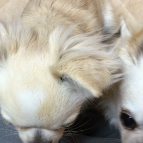 右フックの画像