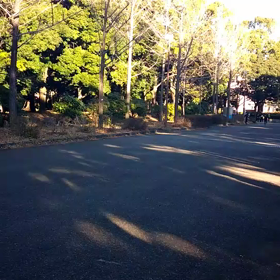 越谷春季記録会リレー選考会(男子)⑦の画像