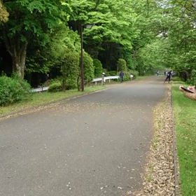 リレー選考会(女子)ゴール付近②の画像