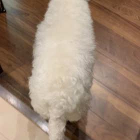 お風呂ーの画像