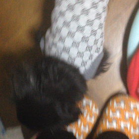 午前中は小春日和。が、午後から雨。の画像