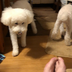 若いもんにはまだ負けないの画像